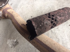 ラパン　触媒
