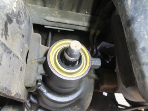エクスペディション　ピニオンシール