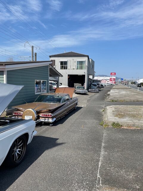 インパラ　宮崎　延岡　サンセットストリップ